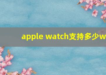 apple watch支持多少w